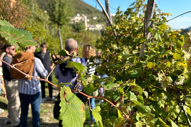 2 Guests Private Prosecco Road Tour All Inclusive from Venice - Lunch and food pairings: local, wine-friendly, and practical