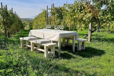 2 Guests Private Prosecco Road Tour All Inclusive from Venice - Stop 1: Conegliano Castle views and a cellar lesson