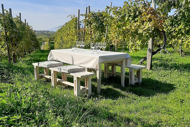 2 Guests Private Prosecco Road Tour All Inclusive from Venice - Stop 1: Conegliano Castle views and a cellar lesson