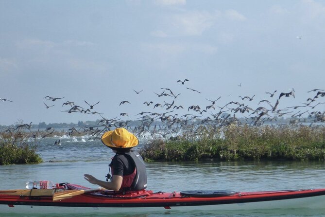 2 Hour Night Kayak Tour in Venice, premium experience with sunset - Venice Canals Without the Side-Show: Seeing Buildings From the Water