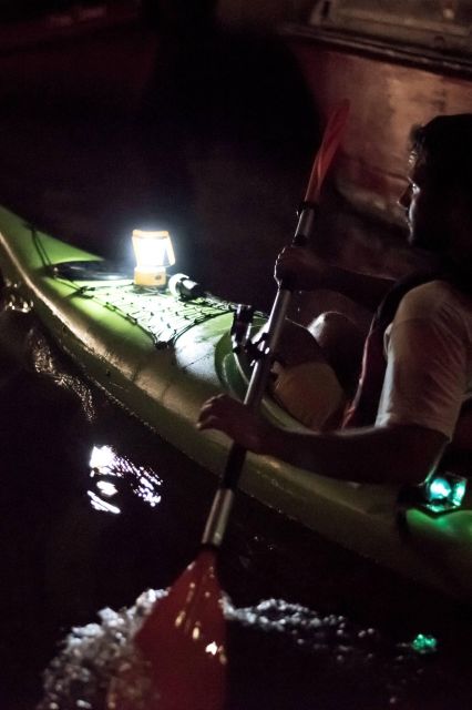 2hr Night Kayak Tour in Venice: premium tour with sunset - Gear, warmth, and safety: what’s provided and why it helps at night