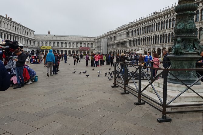 3-hour Best of Venice Highlights Private Walking Tour - Fondamenta Nove: lagoon views that keep your day from feeling like a march