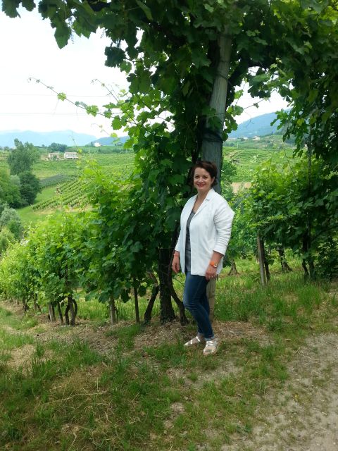 8-Hour Prosecco Wine and Tastings Tour from Venice or Padua - Key highlights worth your attention