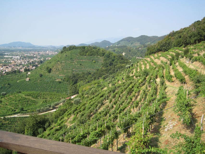 8-Hour Prosecco Wine and Tastings Tour from Venice or Padua - First cantina visit: vineyards, cantinas, and your first set of comparisons