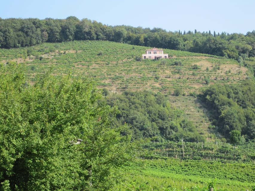 8-Hour Prosecco Wine and Tastings Tour from Venice or Padua - Second cantina stop: small, family production and a different style