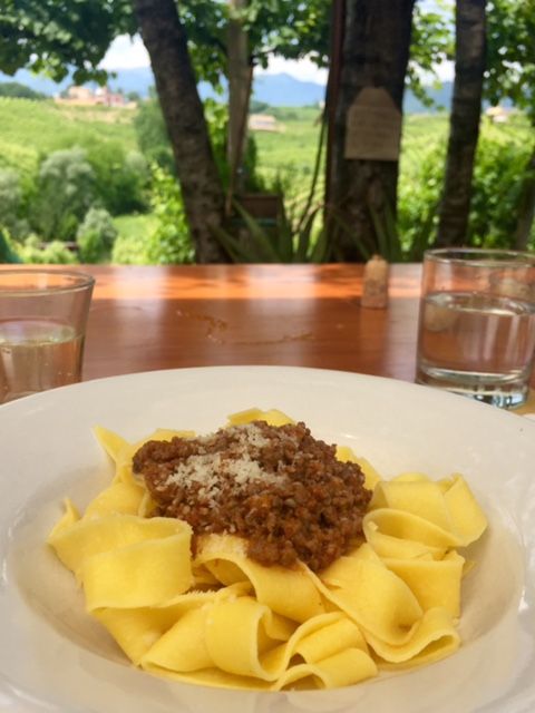 8-Hour Prosecco Wine and Tastings Tour from Venice or Padua - Who this tour is best for (and who should skip it)