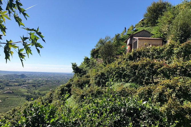 A Sparkling Day in the Prosecco Hills from Venice - Conegliano winery stop: DOCG Prosecco from older vines