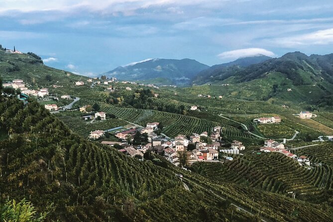 Adventure in the Prosecco Hills by Yellowboot - Timing, pace, and how to dress for a 5.5-hour wine day