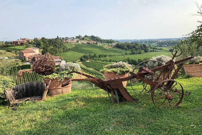 Adventure in the Prosecco Hills by Yellowboot - Second winery stop in Conegliano: another DOCG set of tastings