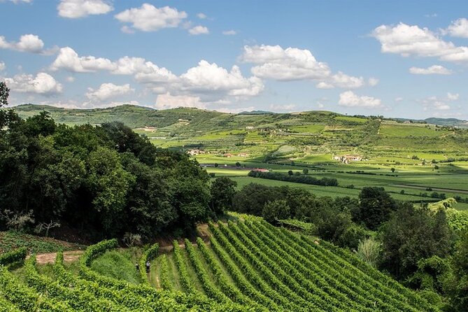 Amarone-Valpolicella tour. Visit Verona. From Venice - Verona walking tour: guided city-center time you can actually use