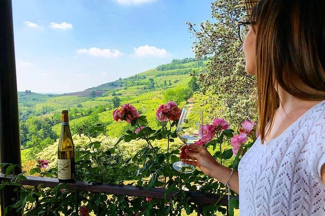 Amarone-Valpolicella tour. Visit Verona. From Venice - Lunch pairing: simple, local, and actually timed well