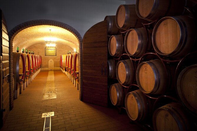 Amarone-Valpolicella tour. Visit Verona. From Venice - Price and value: is $240 fair for this kind of day?