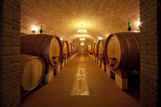 Amarone-Valpolicella tour. Visit Verona. From Venice - Who should book (and who might not love it)