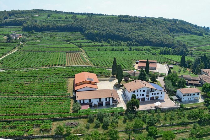 Amarone-Valpolicella tour. Visit Verona. From Venice - A few practical tips before you go