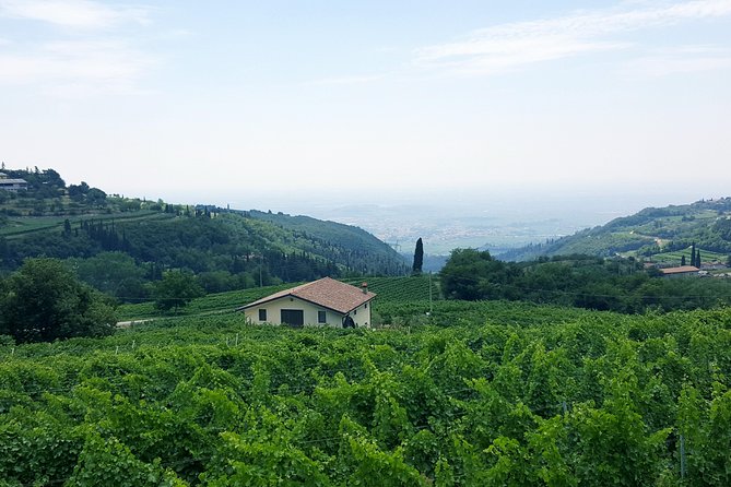 Amarone Wine Tour (all-inclusive full day with lunch and expert wine guide) - From Traghetto Venezia to the wine country: how the day runs