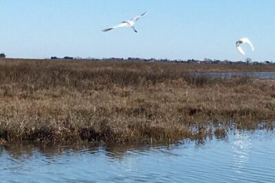 Burano Kayak Eco-Tour Through the Venetian Lagoon - Meeting at Fondamente Nove and getting out to Sant’Erasmo