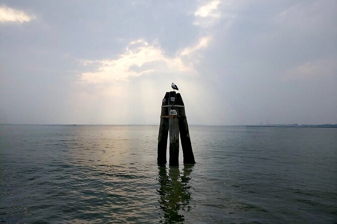 Burano Kayak Eco-Tour Through the Venetian Lagoon - Wildlife spotting and salt marshes: seeing the lagoon as habitat