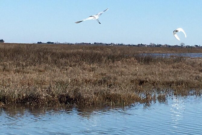 Burano Kayak Eco-Tour Through the Venetian Lagoon - Meeting at Fondamente Nove and getting out to Sant’Erasmo