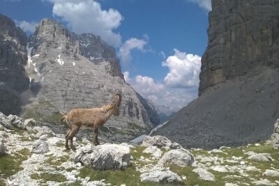 Dolomites Hiking tour - Leaving Venice at Piazzale Roma (and why that matters)