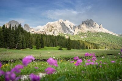 Dolomites Private Tour from Venice - Lago di Misurina: The 60 Minutes That Feel Like a Postcard