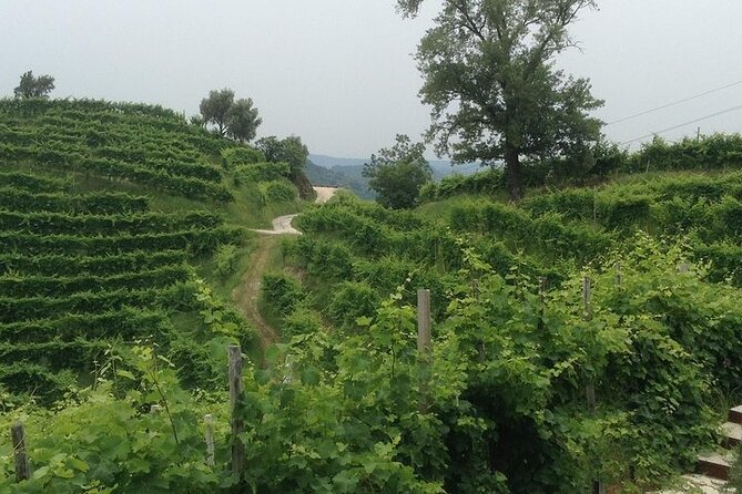 Exclusive Prosecco Wine Tour from Venice - Small Group - Planning Notes That Make Your Day Easier