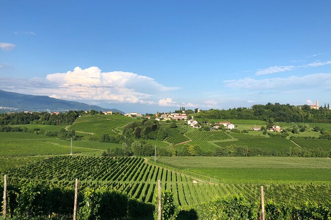 Food and Wine Tour on the Prosecco Hills from Venice - Cartizze (Pdc Cartizze): the hill tied to top Prosecco