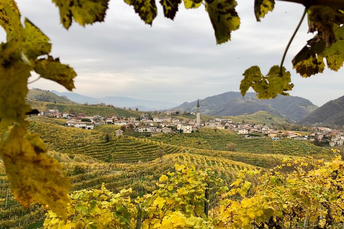 Food and Wine Tour on the Prosecco Hills from Venice - Winery tasting, lunch at an agriturismo, and grappa at the ancient distillery