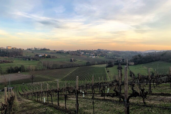 Food and Wine Tour on the Prosecco Hills from Venice - Conegliano: castle ruins, first views, and a strong start