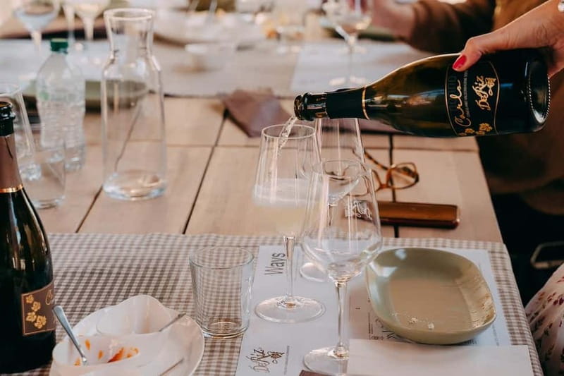 From Venice: Prosecco Hills and Wine Tasting Tour - Price and value: is $153.16 for 6 hours fair?