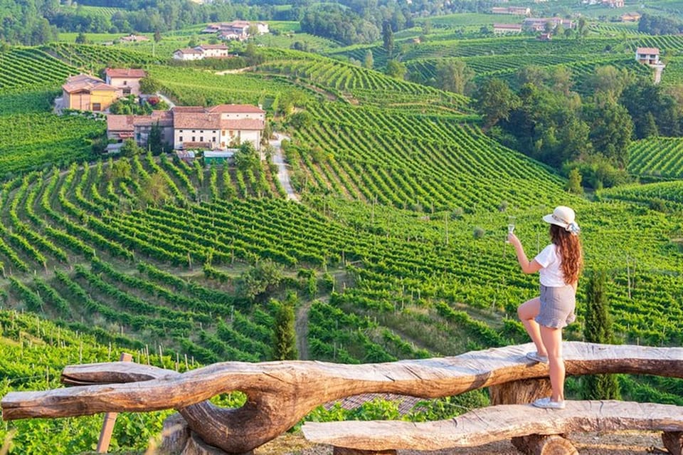 From Venice: Wine and Food tour in the Prosecco Hills - Key highlights at a glance