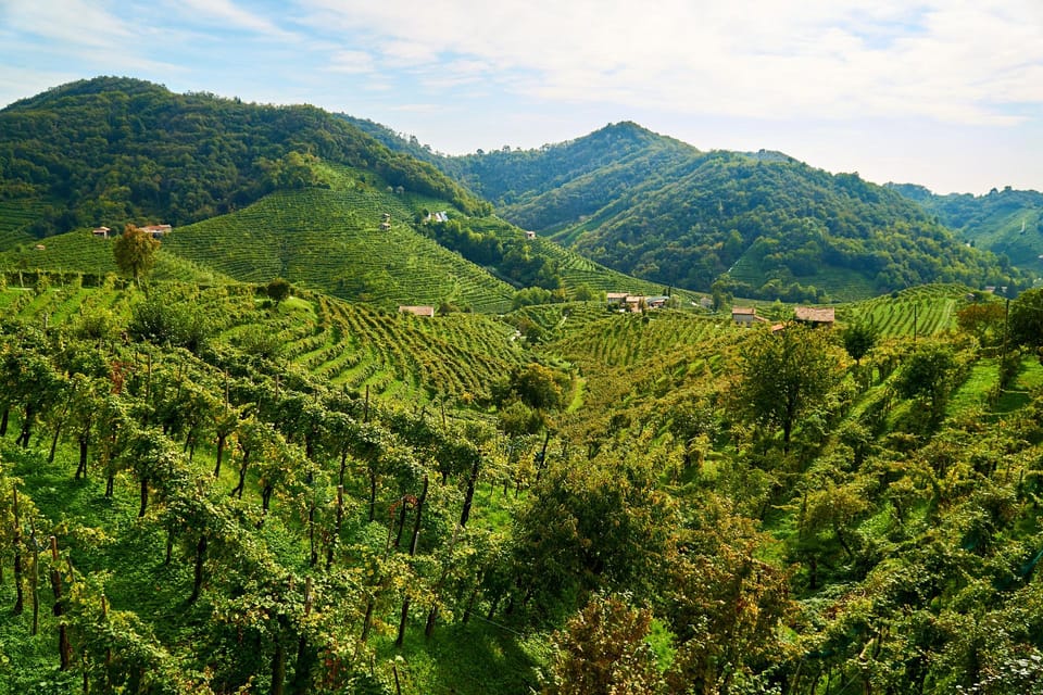 From Venice: Wine and Food tour in the Prosecco Hills - FAQ