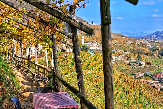 Full day Private Prosecco Tour, with certified Sommelier - The honesty shop stop and vending Prosecco: a playful break from the schedule