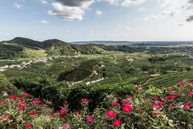 Full day Private Prosecco Tour, with certified Sommelier - Tastings across multiple wineries: how the stops build on each other