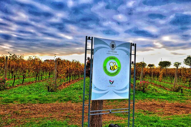 Full day Private Prosecco Tour, with certified Sommelier - What you’ll remember when you’re back in Venice (how to use what you learned)