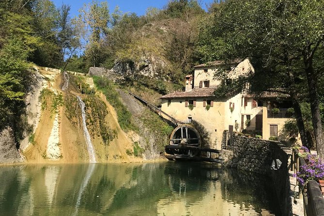 Full day Private Prosecco Tour, with certified Sommelier - Cellars and wine production tours: what you’re really learning