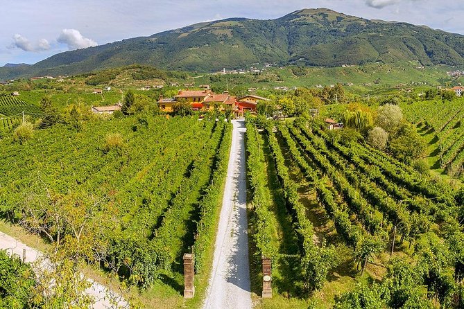 Full Day Prosecco and Cheese Tasting from Venice - Lunch at Osteria Senz’Oste: Salami, Cheese, and Hilltop Views