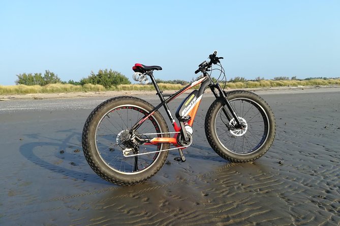 Full Day Venice E-Bike Rental - Quick hits