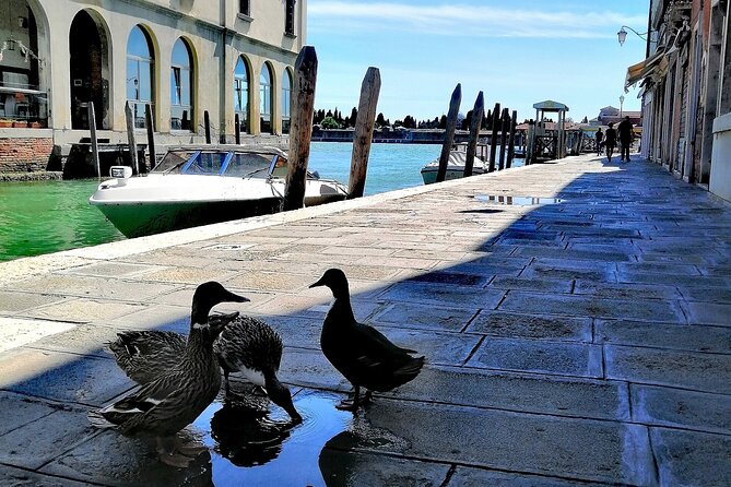 Island Hopping Tour: Mazzorbo, Burano and Murano - The Best Parts You’ll Actually Care About