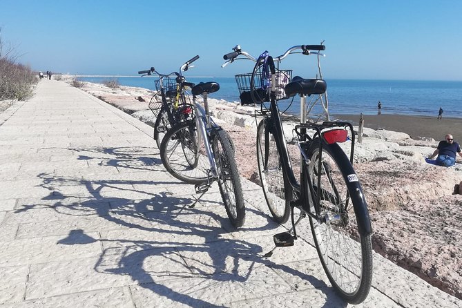 Lido Bike Tour: With a Local on the Island of Cinema - Murazzi seawall riding: a breakwater you can feel in your route
