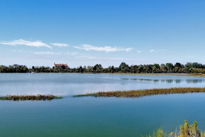 Lio Piccolo: Flamingos & Birdwatching Bike Tour in the Lagoon - Exiting Venice fast: Fondamente Nuove to Treporti by water bus