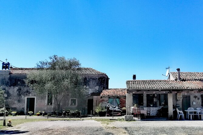 Lio Piccolo: Flamingos & Birdwatching Bike Tour in the Lagoon - Al Notturno: the nature guide’s role (and why it’s not just talking)