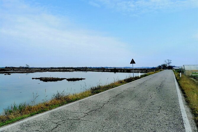 Lio Piccolo: Flamingos & Birdwatching Bike Tour in the Lagoon - Lio Piccolo flamingos: how this lagoon became their home