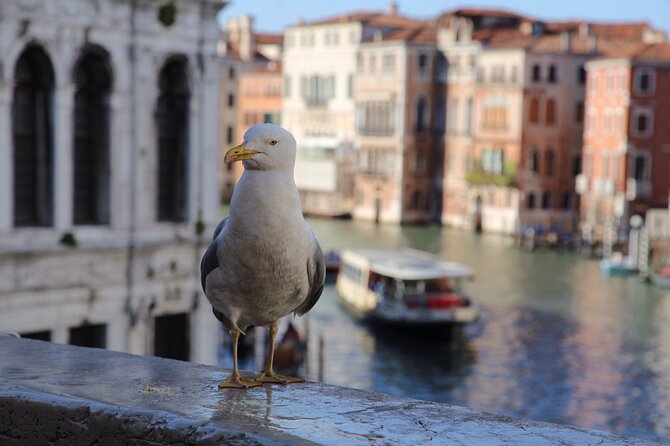 Photography workshop in the magical Venice (3h) - Who should book this workshop—and who should skip it