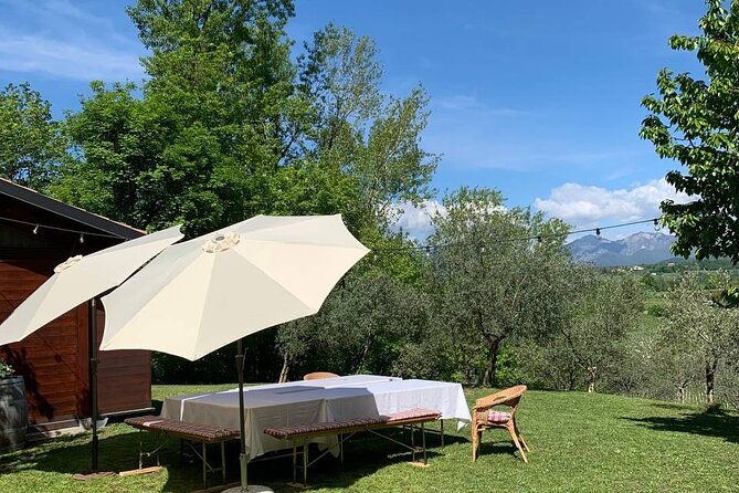 Premium Private Prosecco Hills Tour - 2 Wineries. Private tour. - Farra di Soligo: the technical 4-Prosecco tasting in a small family cellar