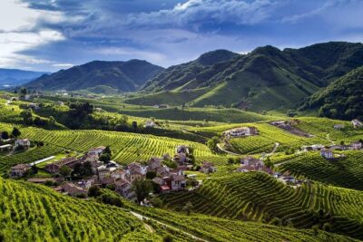 Premium Prosecco Hills Winery Tour with Prosecco Tastings & Food - Venice pickup: easy meeting point, real-world timing