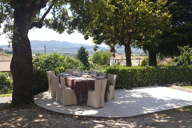 Premium Prosecco Hills Winery Tour with Prosecco Tastings & Food - The four-glass DOCG tasting, paired like a meal