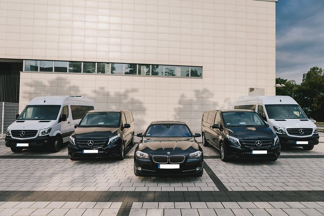 Private Arrival Transfer: Venice Marco Polo Airport - Key things to know before you land
