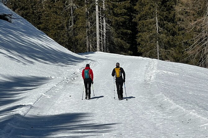 Private Dolomites Winter Day Tour from Venice - Price and what makes it good value (or not)