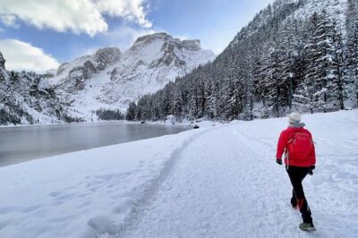 Private Guided Tour in the Dolomites from Venice - The Private Van setup: snacks, audio, and why it’s not just transportation