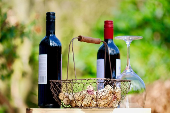 Private Half Day Wine Tasting tour: Road Of The Doges - The Drive: Venice to Lison-Pramaggiore by Mercedes Minivan